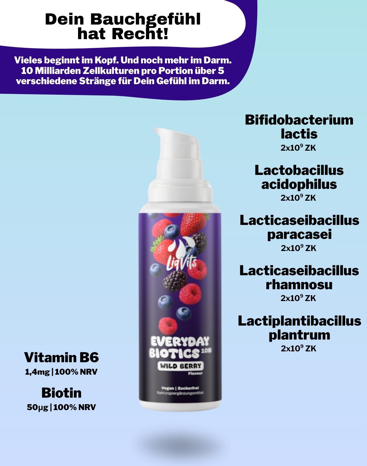 LiqVits-Everyday Biotics 10B - Wild Berry-Nahrungsergänzungsmittel-1501-