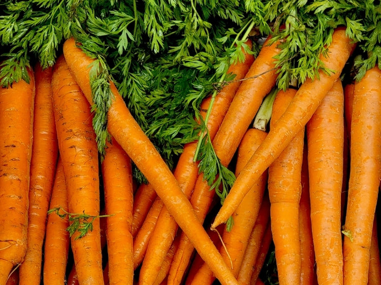 LiqVits Nahrungsergänzungsmittel Vitamin A Abbildung natürliche Karotten
