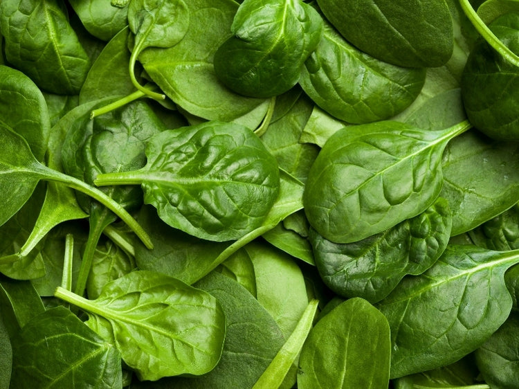 LiqVits Nahrungsergänzungsmittel Vitamin B9 B12 B-Komplex Abbildung natürliche Spinat Blattspinat