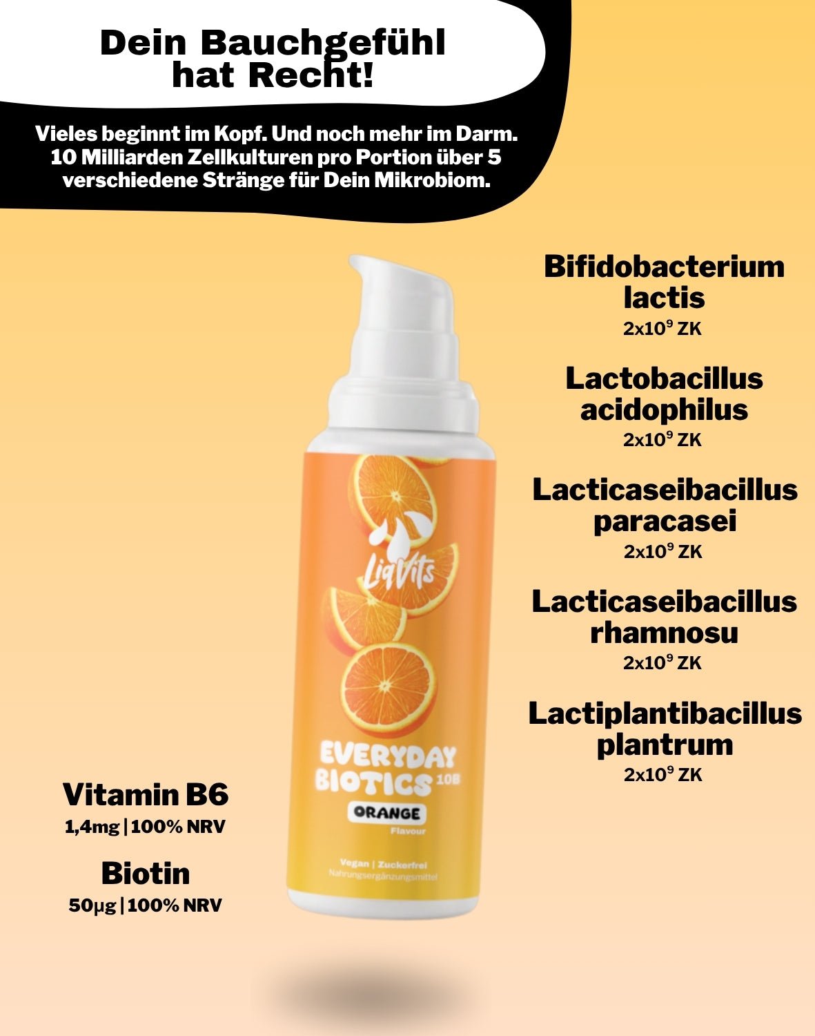 LiqVits fluessige Nahrungsergaenzungsmittel Everyday Starter Set Full Active-10 Mrd Darmkulturen für Dein Mikrobiom mit 5 klinisch erwiesenen Strängen